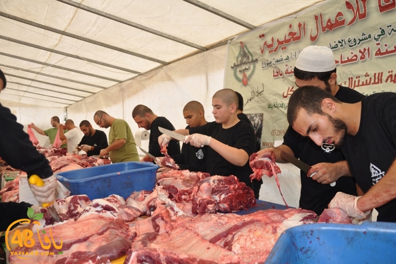 780-520000ada7y 3am 1 (1).JPG